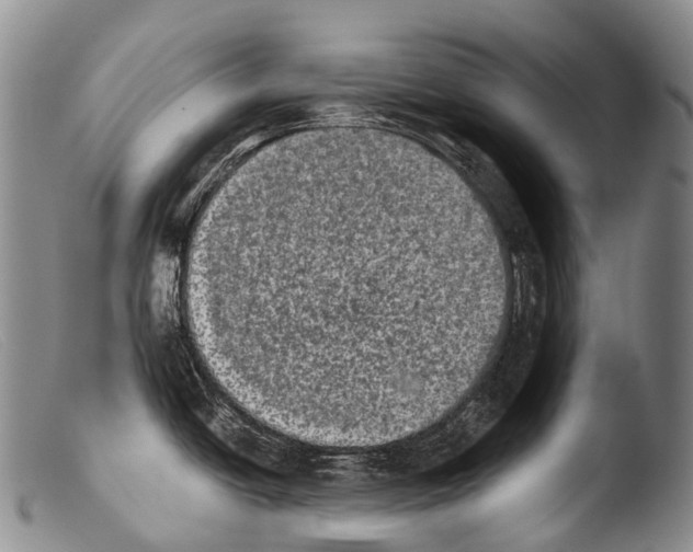 X0000103961438200810311604