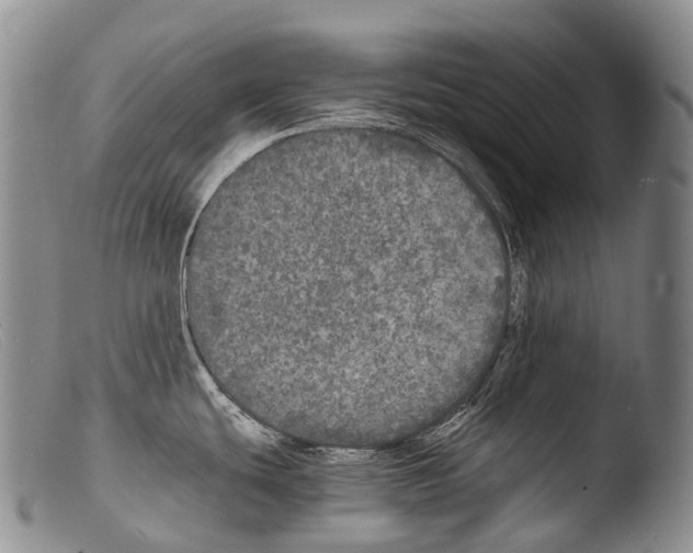 X0000103961439200810311604