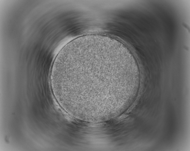 X0000103961440200810311604
