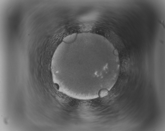 X0000103961441200810311603