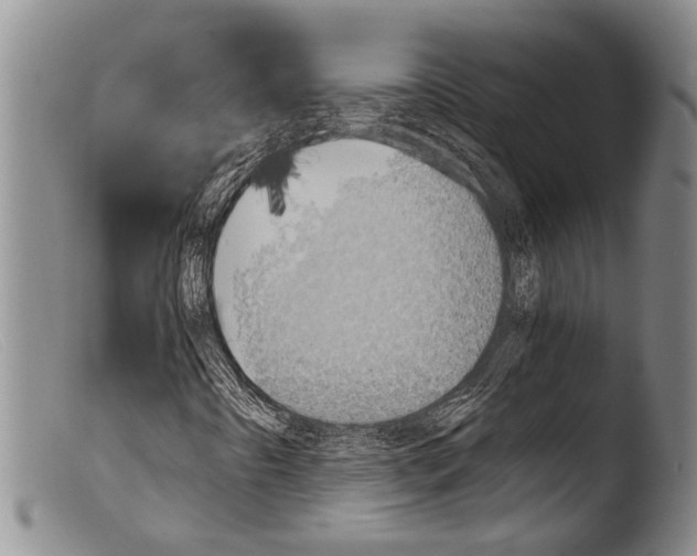 X0000103961442200810311603