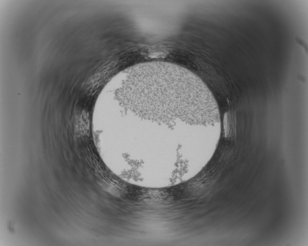 X0000103961443200810311603