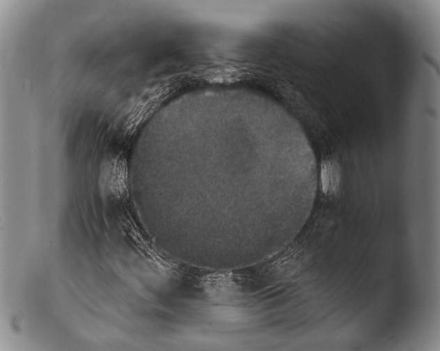 X0000103961444200810311603