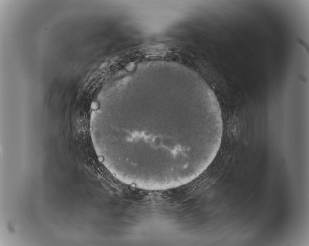 X0000103961445200810311603