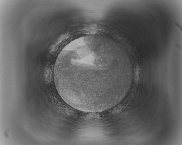 X0000103961446200810311603