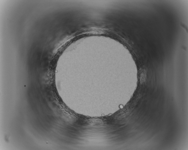X0000103961448200810311603
