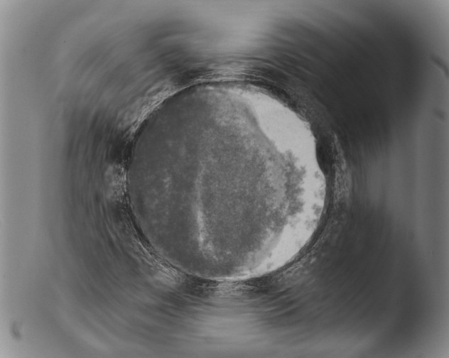 X0000103961449200810311603