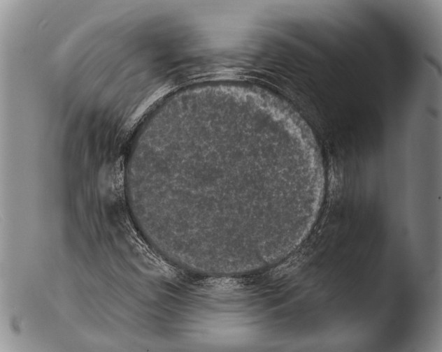 X0000103961450200810311603