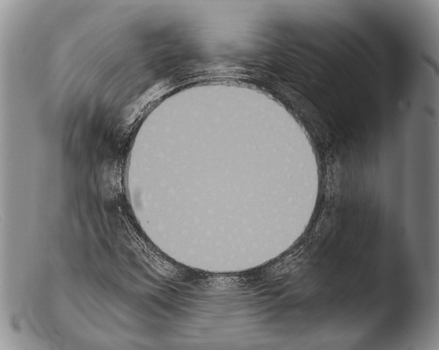 X0000103961451200810311603