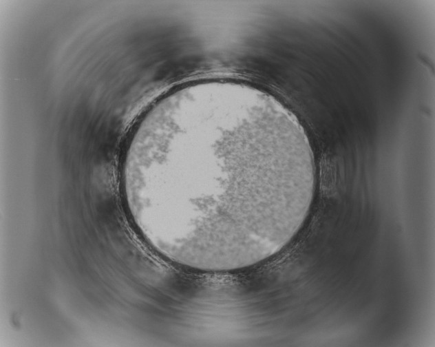 X0000103961452200810311602
