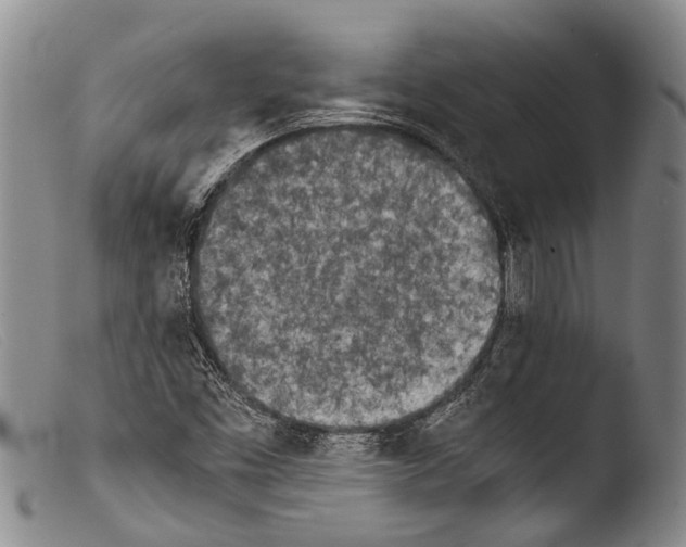 X0000103961453200810311602