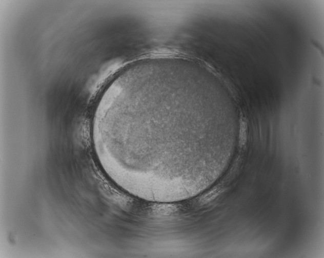 X0000103961454200810311602