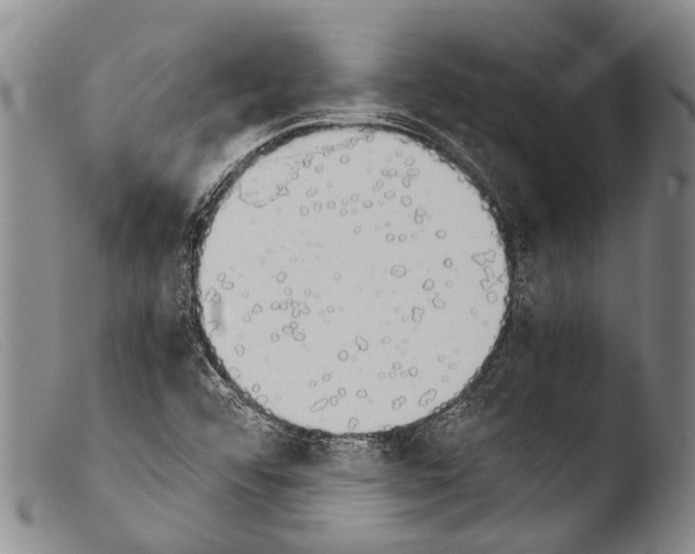 X0000103961456200810311602