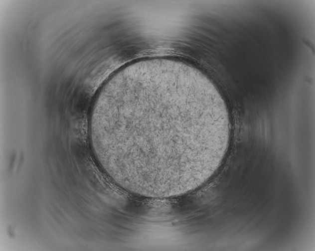X0000103961457200810311602