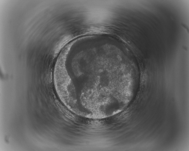 X0000103961459200810311602