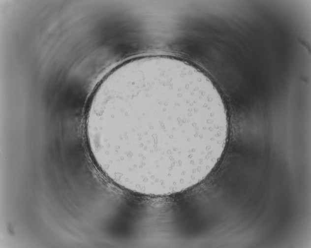X0000103961460200810311602