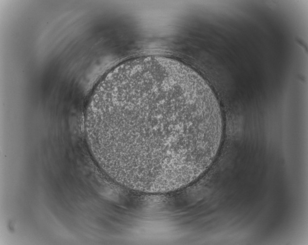 X0000103961461200810311602