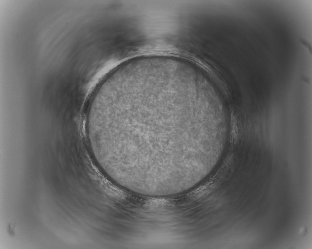 X0000103961462200810311602