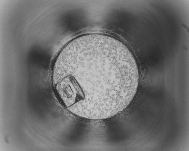X0000103961464200810311602