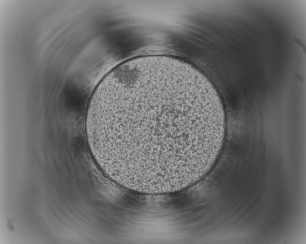 X0000103961465200810311602