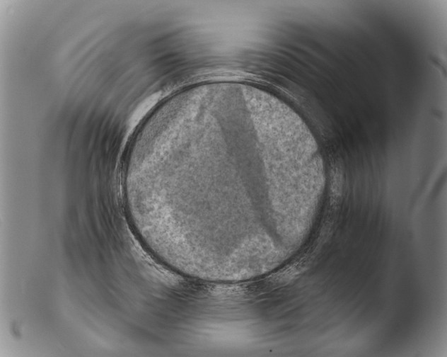 X0000103961466200810311602