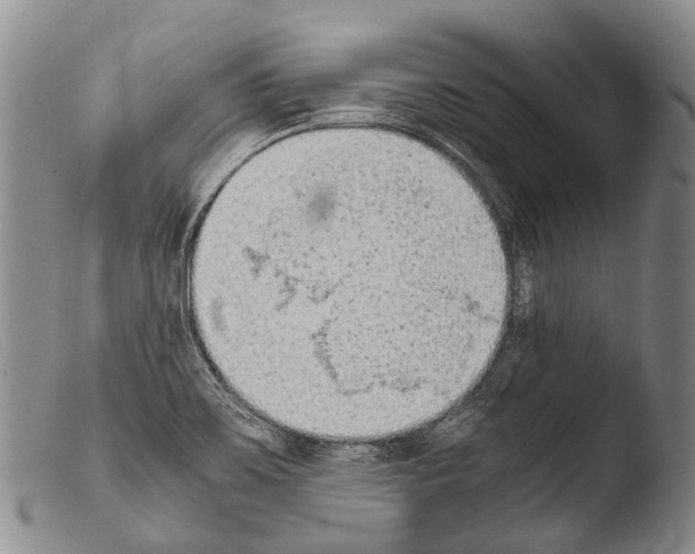 X0000103961467200810311602