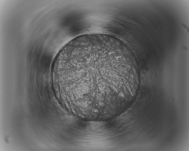 X0000103961469200810311602