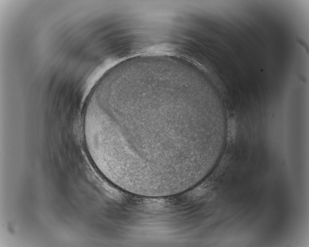 X0000103961470200810311602