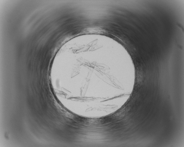 X0000103961471200810311602