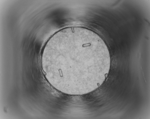 X0000103961472200810311602