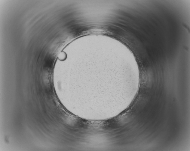 X0000103961473200810311602