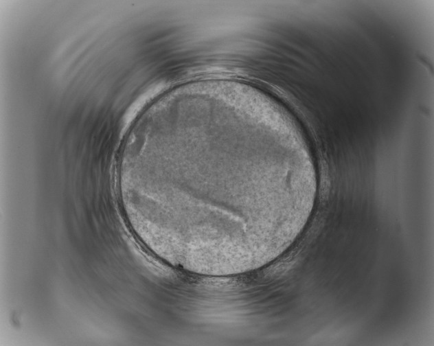 X0000103961474200810311602