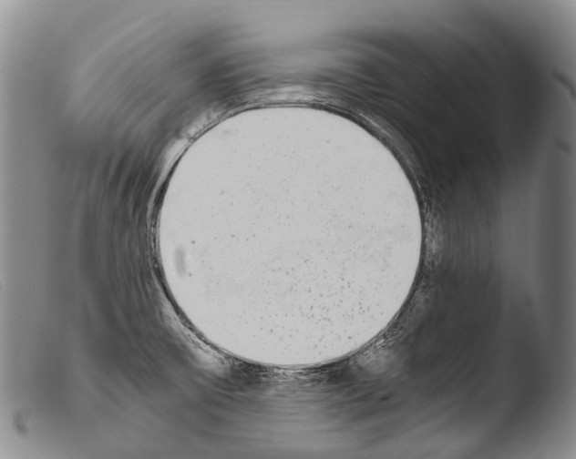X0000103961475200810311602