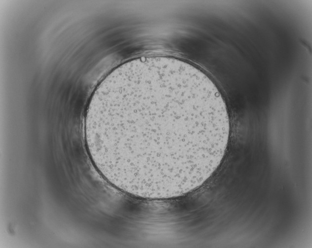 X0000103961476200810311602