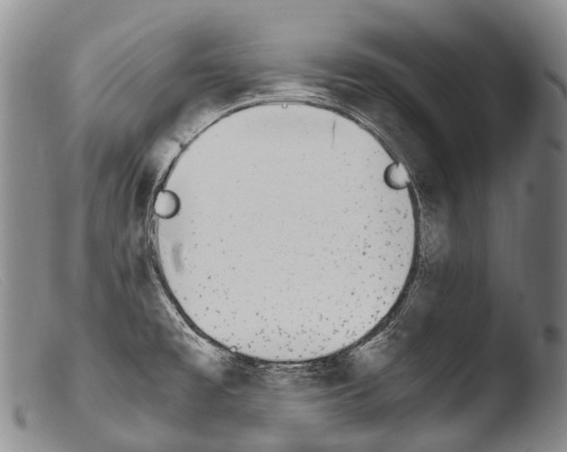 X0000103961477200810311602