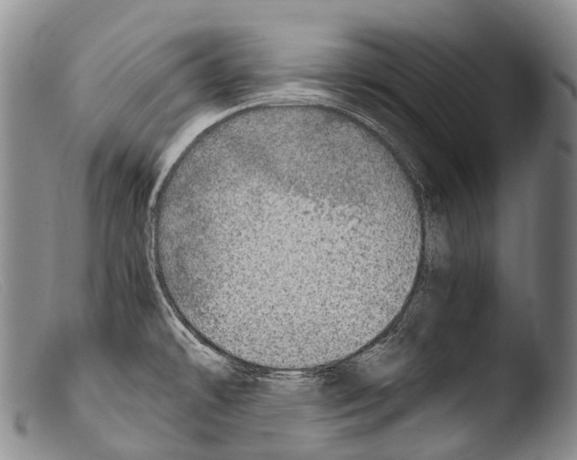 X0000103961478200810311602