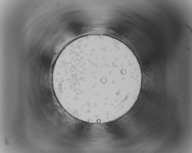 X0000103961480200810311602