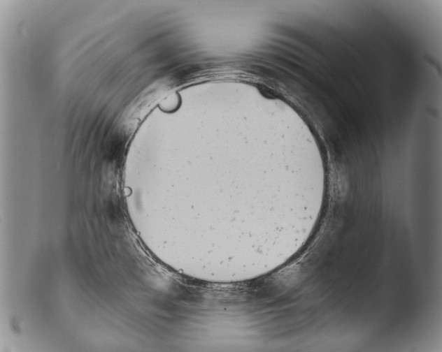 X0000103961481200810311602