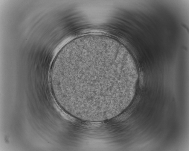 X0000103961482200810311602
