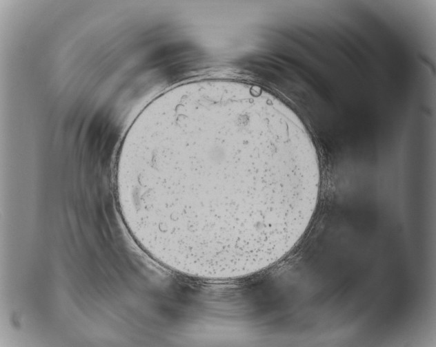 X0000103961483200810311602