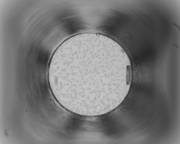 X0000103961484200810311602