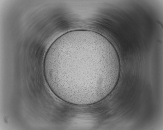 X0000103961485200810311602