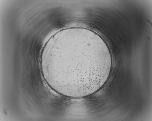 X0000103961486200810311602