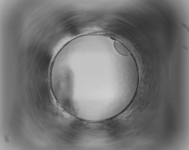 X0000103961488200810311602