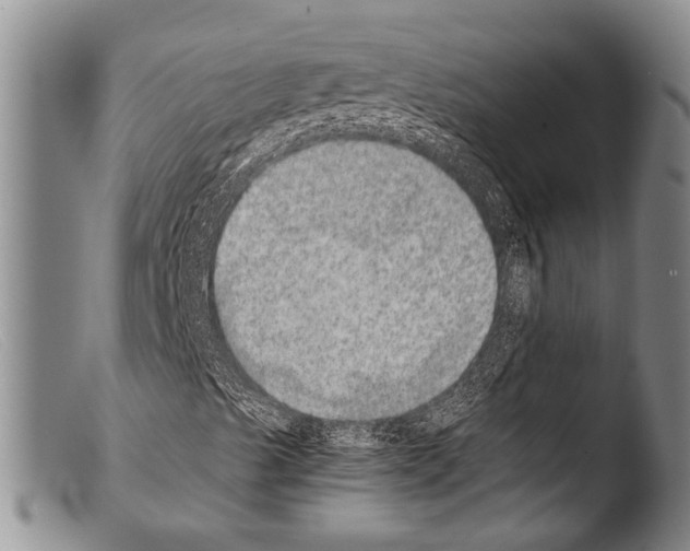 X0000103961489200810311601