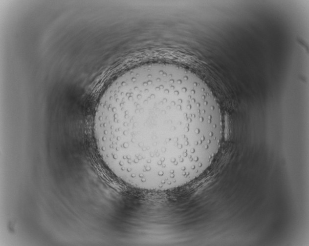 X0000103961491200810311601