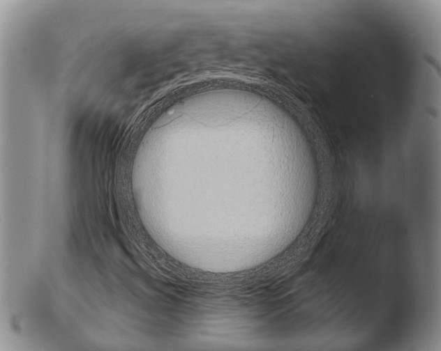 X0000103961492200810311601
