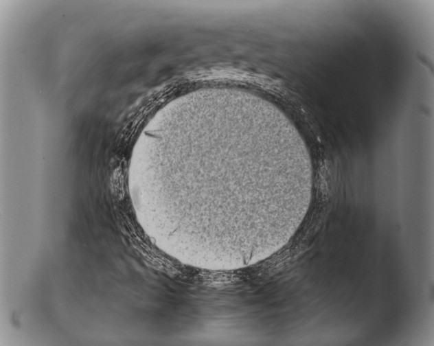 X0000103961493200810311601