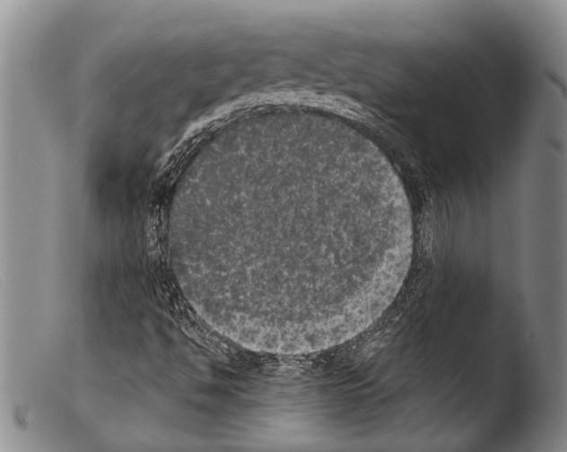 X0000103961494200810311601