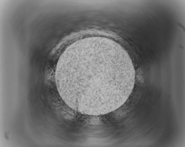 X0000103961495200810311601